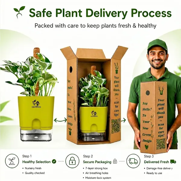 Money_Plant_N'Joy_In_Self_Watering_Pot