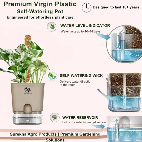 Money_Plant_N'Joy_In_Self_Watering_Pot