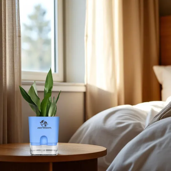 Snake_Plant_(Sansevieria_Silver_Hahnii)_With_Self_Watering_Pot