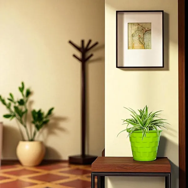 Spider_Plant_In_Self_Watering_Pot