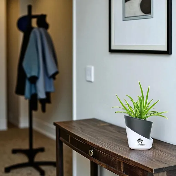 Spider_Plant_In_Self_Watering_Pot
