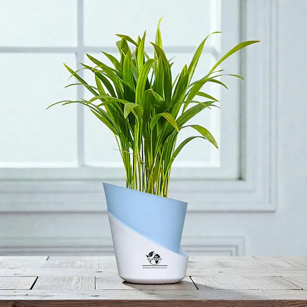 Areca_Palm_Live_Plant_In_Self_Watering_Pot
