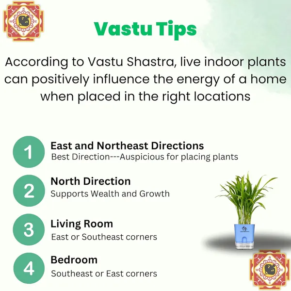 Areca_Palm_Live_Indoor_Plant_In_Self_Watering_Pot