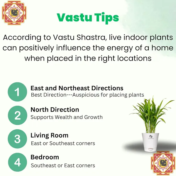 Areca_Palm_Indoor_Plant_With_Self_Watering_Pot