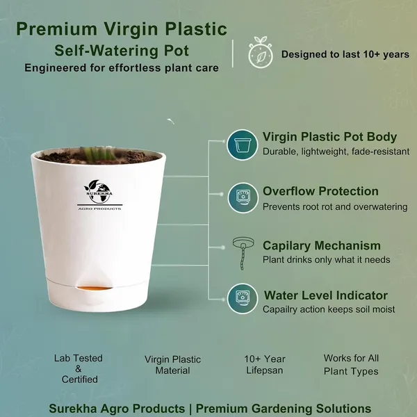 Indoor_Plant_Bundle_Pack_Of_4