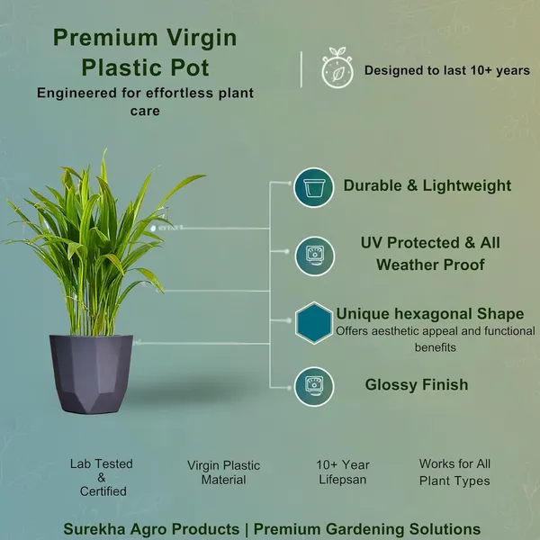Areca_Palm_Indoor_Plant_In_Self_Watering_Pot_Pack_Of_2