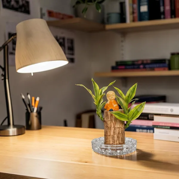 Brazilian_Wood_Plant_With_Pot