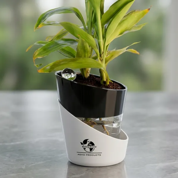 Yellow_Lucky_Bamboo_Plant_With_Self-Watering_Pot