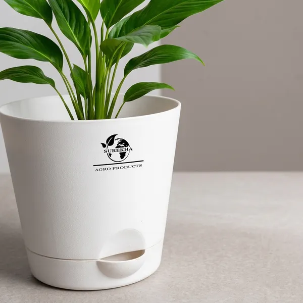 Peace_Lily_Plant_With_Self_Watering_Pot