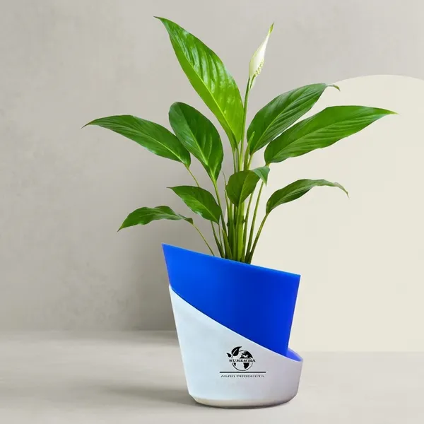 Peace_Lily_Plant_With_Self_Watering_Pot