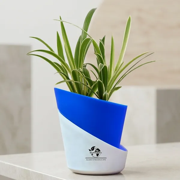 Spider_Plant_In_Self_Watering_Pot