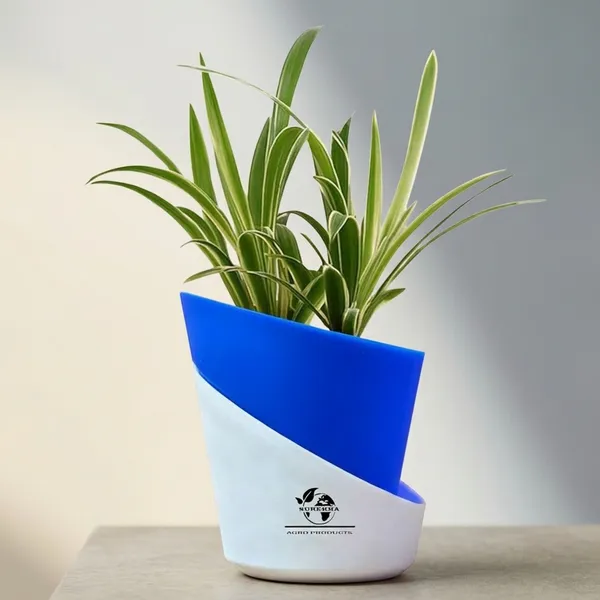 Spider_Plant_In_Self_Watering_Pot