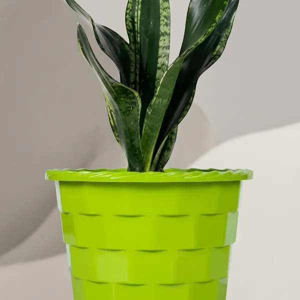 Snake_Plant_(Sansevieria_Whitney)_With_Self_Watering_Pot