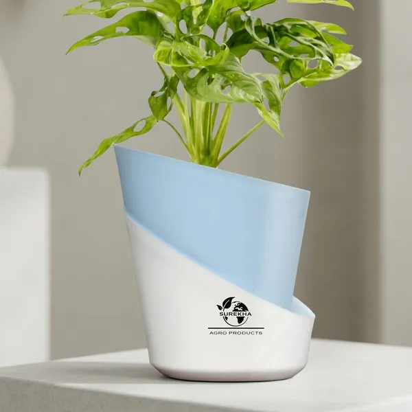 Philodendron_Broken_Heart_Plant_With_Self_Watering_Pot
