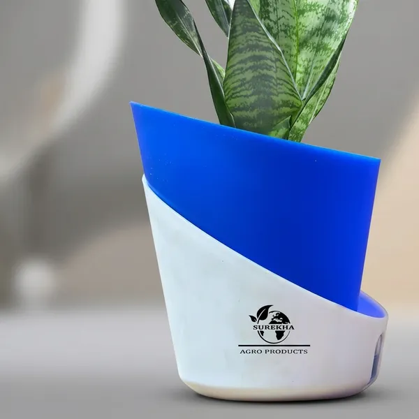 Sansevieria_Superba_Snake_Plant_With_Self_Watering_Pot