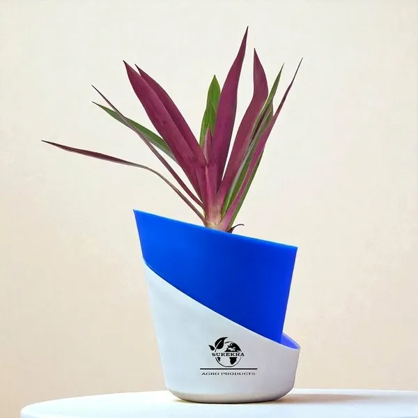 Rhoeo_Neon_Plant_With_Self_Watering_Pot