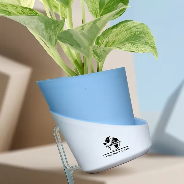 Marble_Queen_Pothos_Plant_In_Self_Watering_Pot