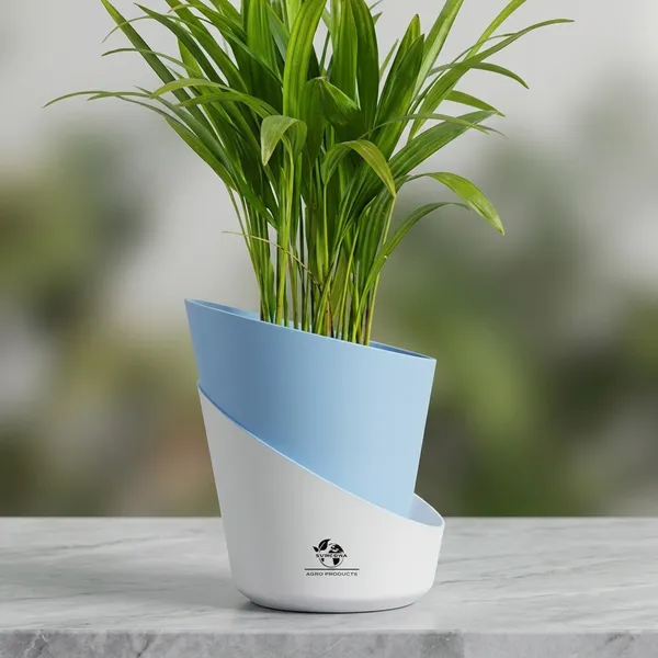 Areca_Palm_Live_Plant_In_Self_Watering_Pot