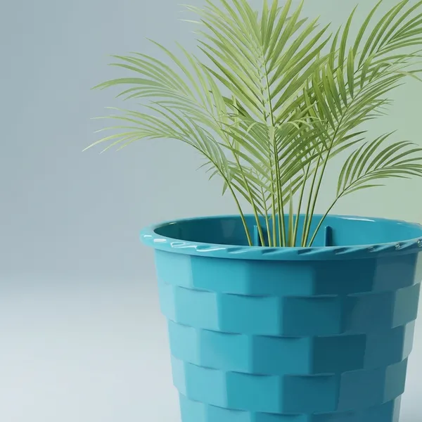 Areca_Palm_Live_Indoor_Plant_In_Pot