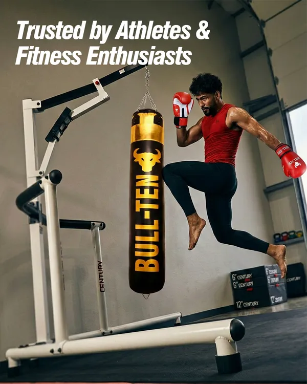 Bull-Ten_Punch_Bag_Vinyl