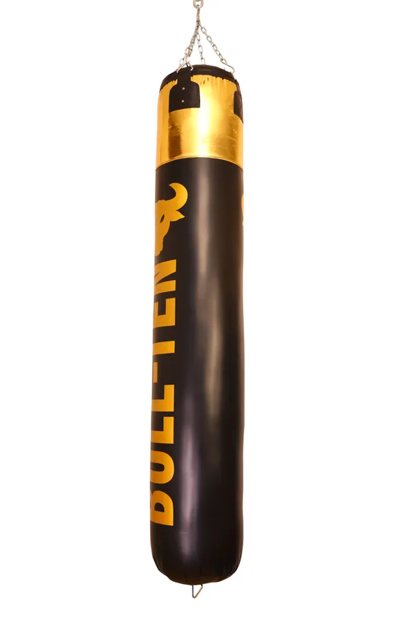 Bull-Ten_Punch_Bag_Vinyl