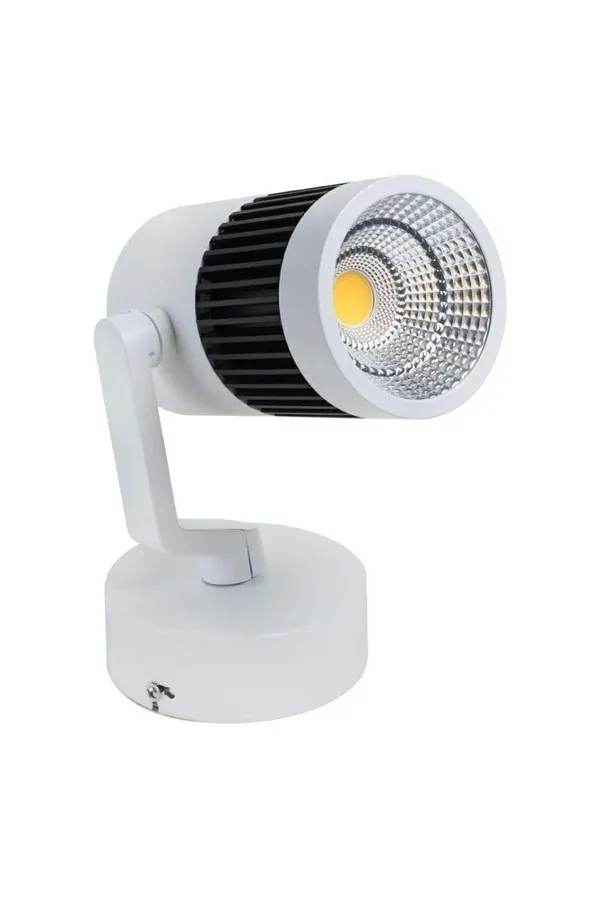 _Adjustable_Surface_Mounted_LED_Focus_Spot_Wall_Light_(Cool_White,_24_Watt)