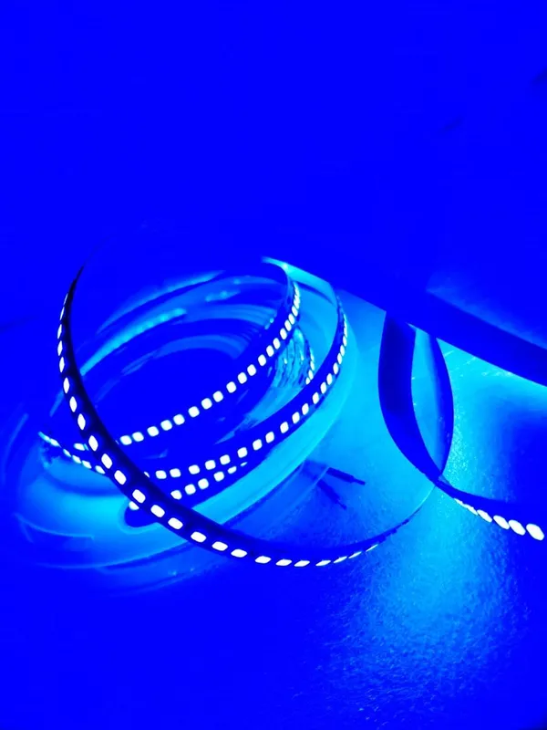 (240_LED_per_Meter_LED_Flexible_Strip_Cove_Light_with_Self_Adhesive_Surface_-(5_Meter_roll)_Decorative_or_Profile_Light_Driver/Adaptor_NOT_Included_(Blue)