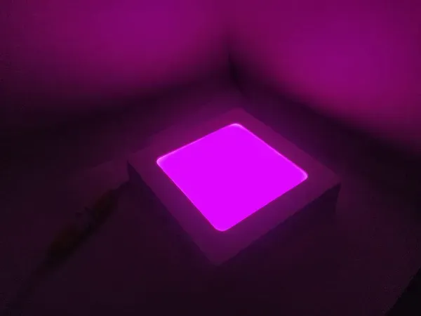 Surface_Panel_Square_Light_(8_Watt)_(Pink)