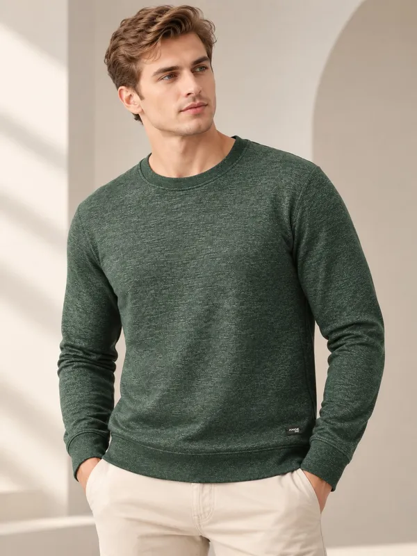 Green_Textured_Regular_Fit_Sweatshirt_for_Men