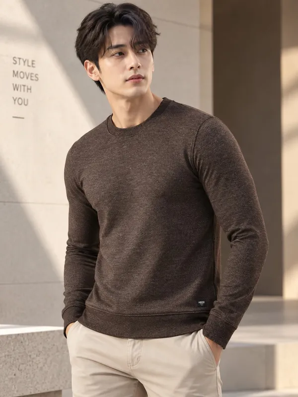 Brown_Textured_Knit_Regular_Fit_Sweatshirt_for_Men