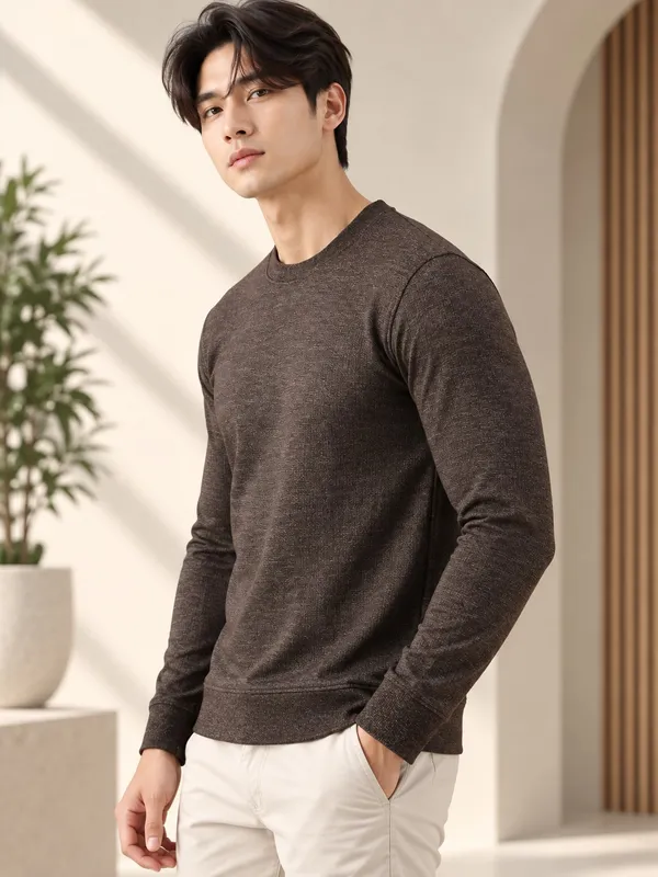 Brown_Textured_Knit_Regular_Fit_Sweatshirt_for_Men