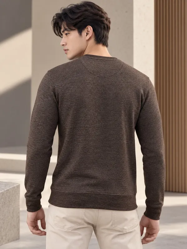 Brown_Textured_Knit_Regular_Fit_Sweatshirt_for_Men