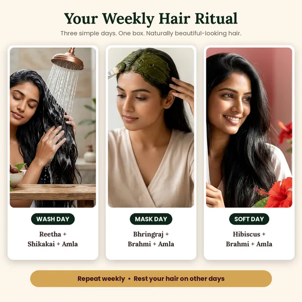 Pack_of_6_Amla_Reetha_Shikakai_Bhringraj_Hibiscus_Brahmi_Powder_For_Hair_Growth