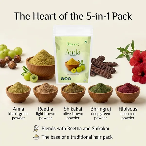 Pack_of_2_-_180_Gm_Each_Amla_Powder_(Indian_Gooseberry)_For_Hair_Growth_And_Anti_Ageing-_Pack_Of_2