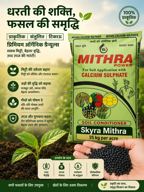 Mitra_Calcium_Sulphate_25_Kg