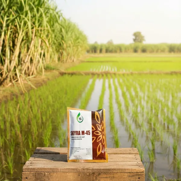 Skyra_M-45_Hybrid_Rice_Seeds_for_Farming_500_gm