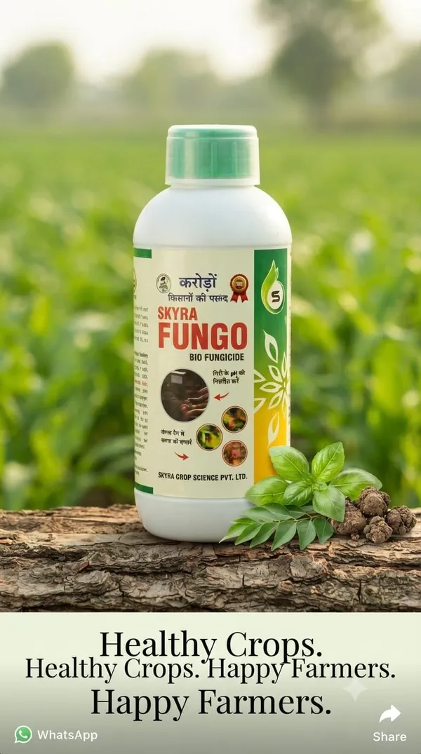 Skyra_Fungo_Bio_