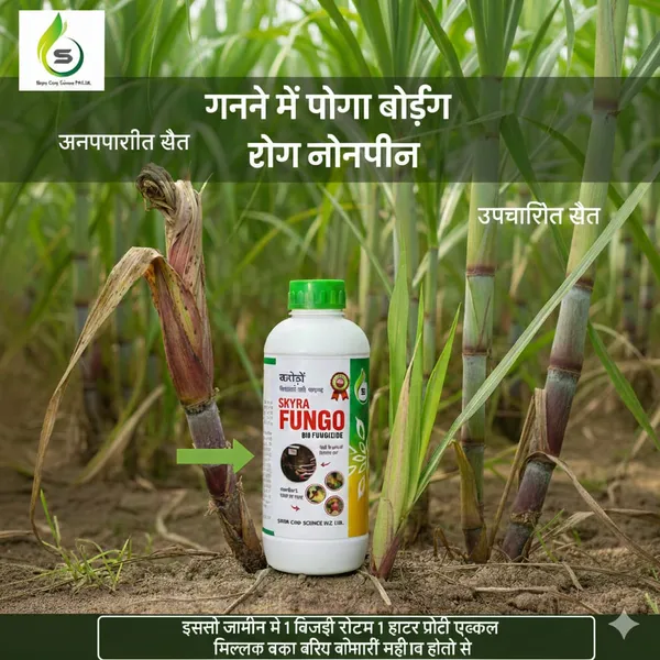 Skyra_Fungo_Bio_Fungicide