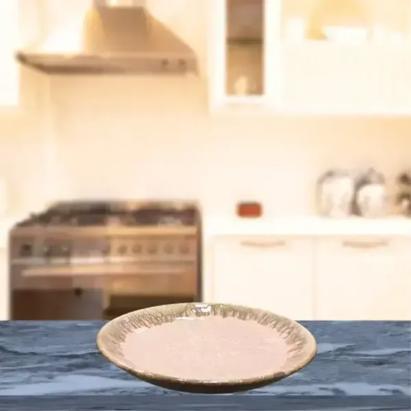 Round_Shape_Border_Handcrafted_Plate_Pink_Blush_9_5