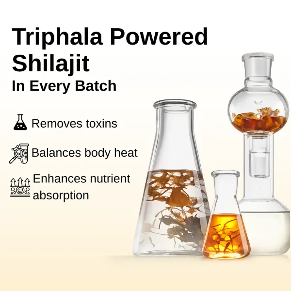 Ashwaveda_Pure_Shilajit_Resin_With_Kesar_Energy_And_Vitality