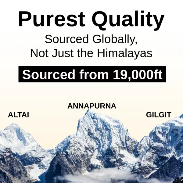 Ashwaveda_Pure_Shilajit_Resin_With_Kesar_Energy_And_Vitality