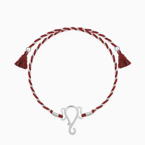 Silver_Protector_of_All_Rakhi