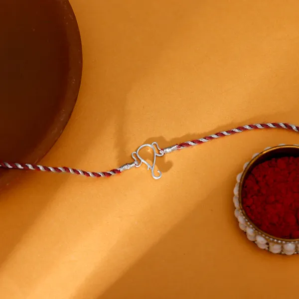 Silver_Protector_of_All_Rakhi