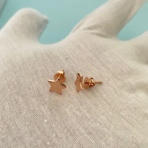 Star_Stud_Earring_