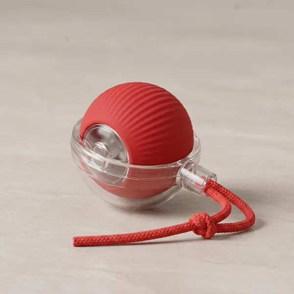 Red_Abs_Plastic_And_Soft_Protective_Silicone_Interactive_Ball_Toy_For_Cats_Pack_Of_2