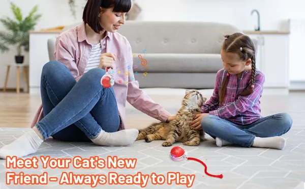 Red_Abs_Plastic_And_Soft_Protective_Silicone_Interactive_Ball_Toy_For_Cats_Pack_Of_2
