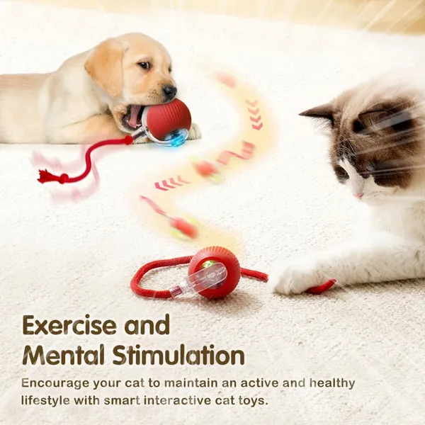 Red_Abs_Plastic_And_Soft_Protective_Silicone_Interactive_Ball_Toy_For_Cats_Pack_Of_2