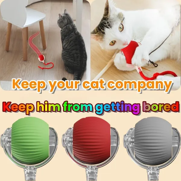 Red_Abs_Plastic_And_Soft_Protective_Silicone_Interactive_Ball_Toy_For_Cats_Pack_Of_2