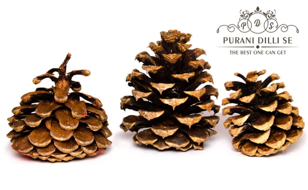 Chilgoza_Giri/Pine_Seed_Kernels_Bold_Dubble_Handpicked_Class_1