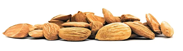 Real_Mamra_Almond_Kernels/Badam_Giri_Irani_AAAA_Grade